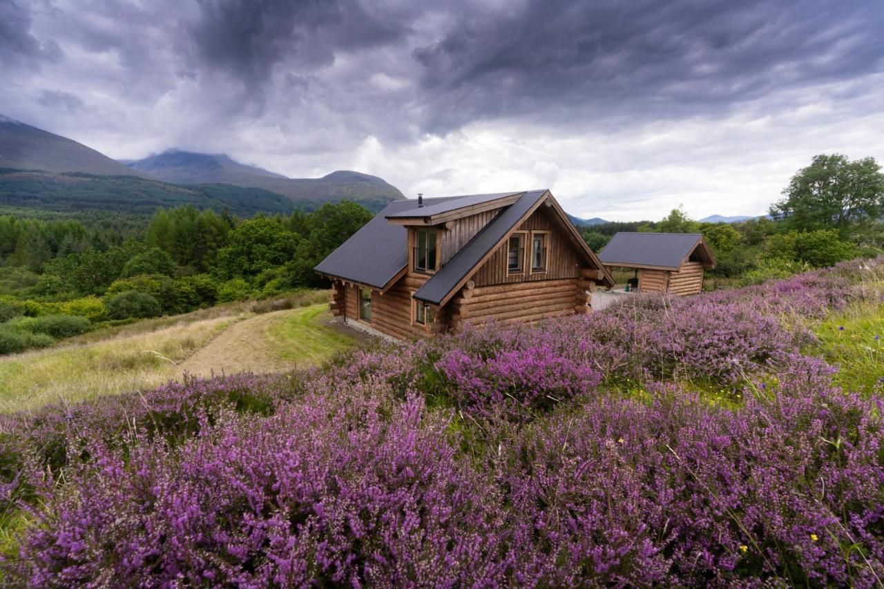 Wild Nurture Eco Luxury Offgrid Log Cabin 포트 윌리엄 외부 사진