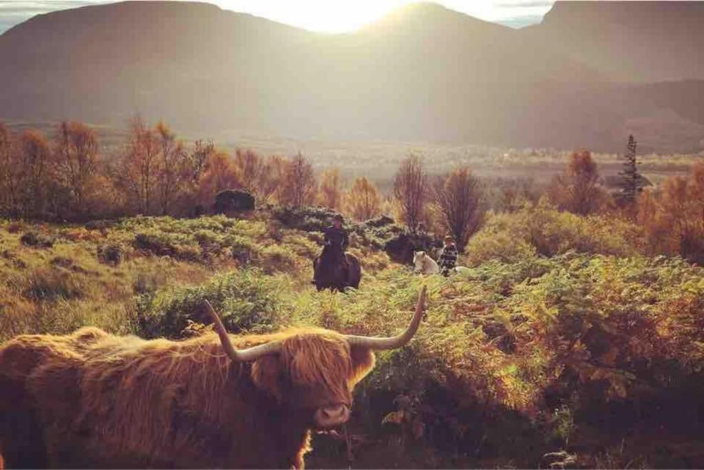 Wild Nurture Eco Luxury Offgrid Log Cabin 포트 윌리엄 외부 사진