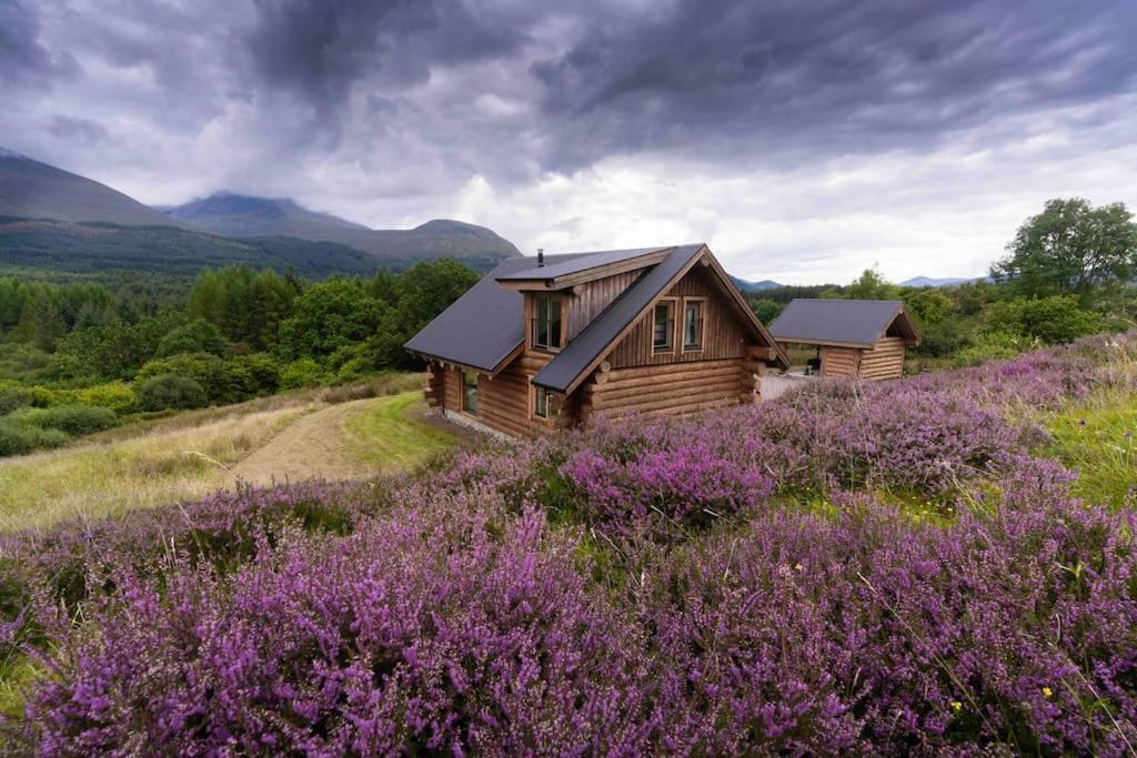 Wild Nurture Eco Luxury Offgrid Log Cabin 포트 윌리엄 외부 사진