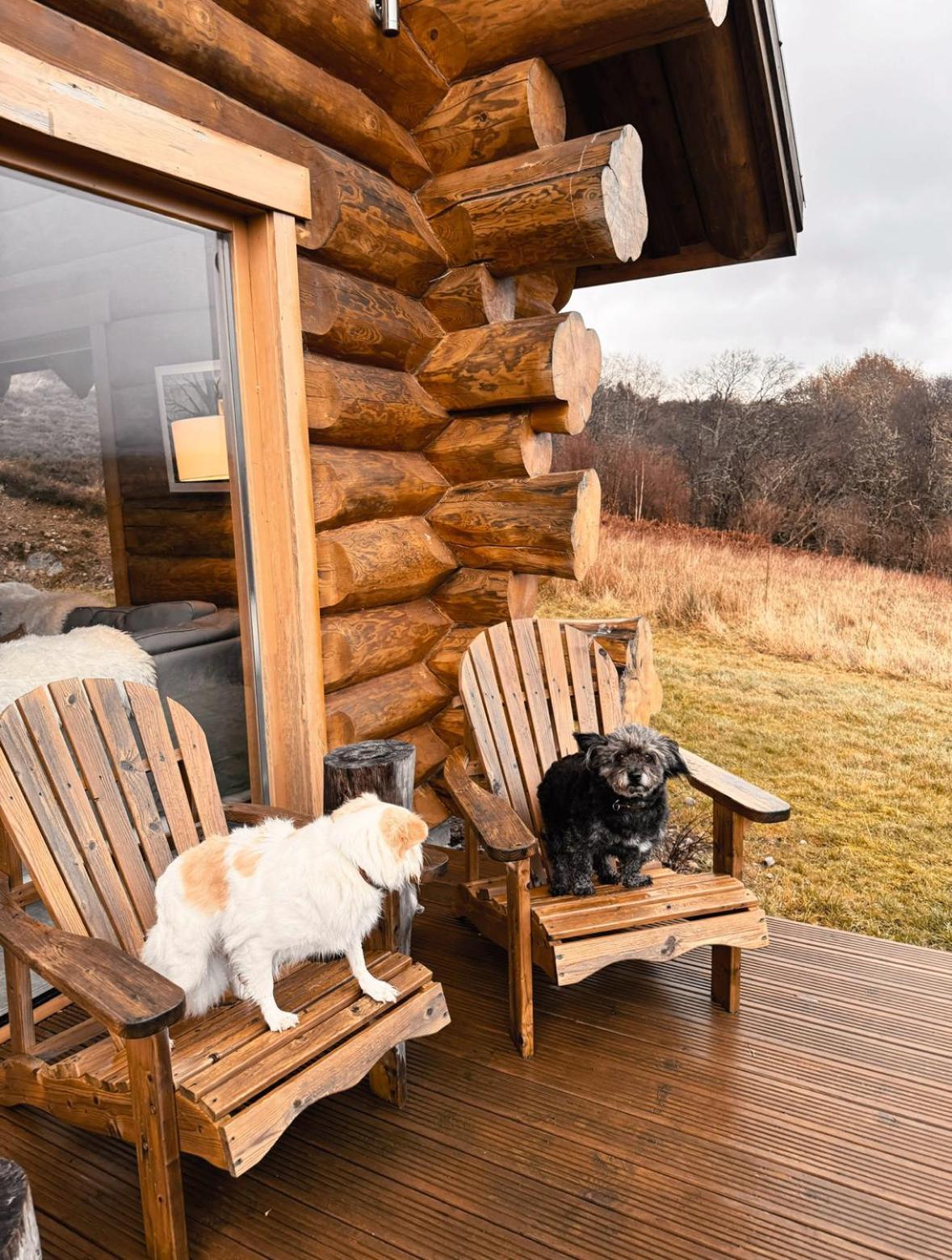 Wild Nurture Eco Luxury Offgrid Log Cabin 포트 윌리엄 외부 사진